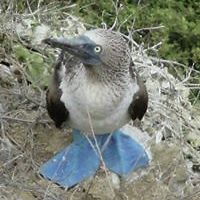 lucy.obrien.9235 avatar