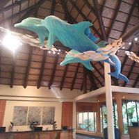 mary.mccollum avatar