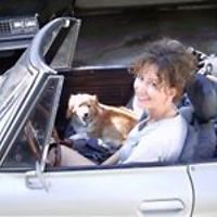 elizabeth-colla avatar