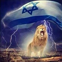 naomi.baram.5 avatar