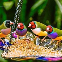 karen.wagers.1 avatar