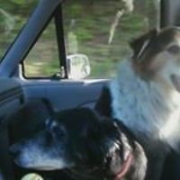 mary.ridley.3 avatar