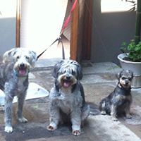 gabriela.rochascher avatar