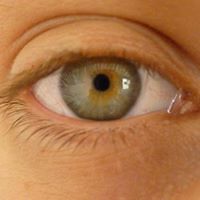 enid.claramunt avatar