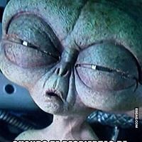 felipa.peasley avatar