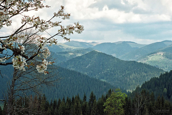 Ukrainian Mountains