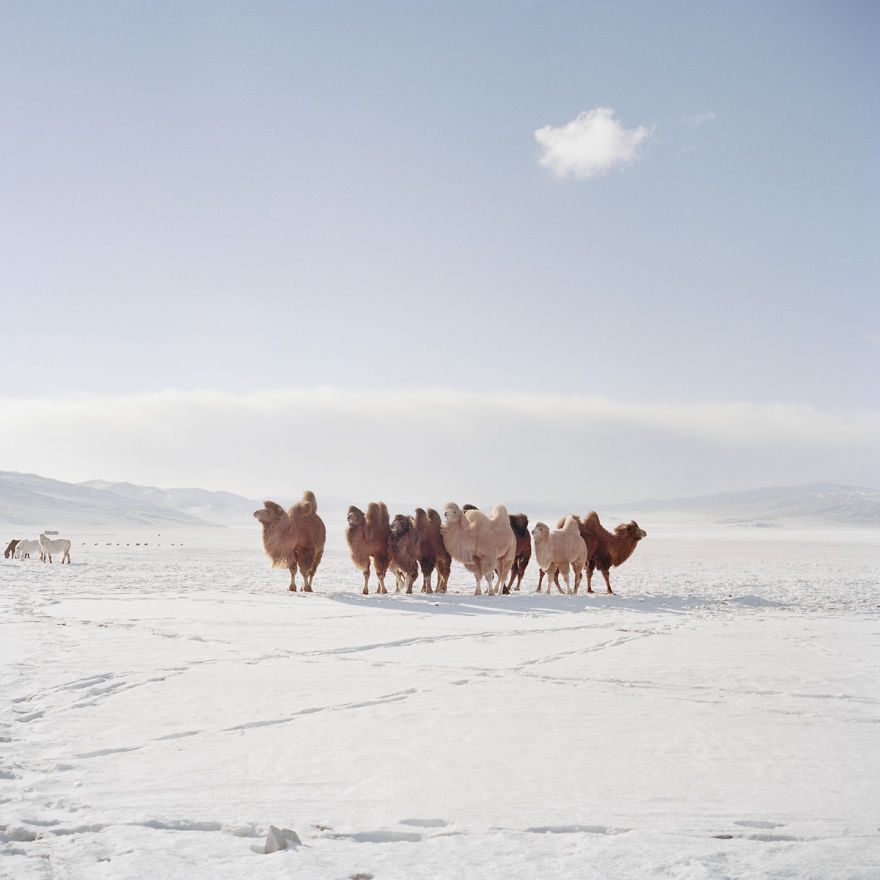 Celebrating Mongolia&rsquo;s Beautiful, Brutal Winter Cold