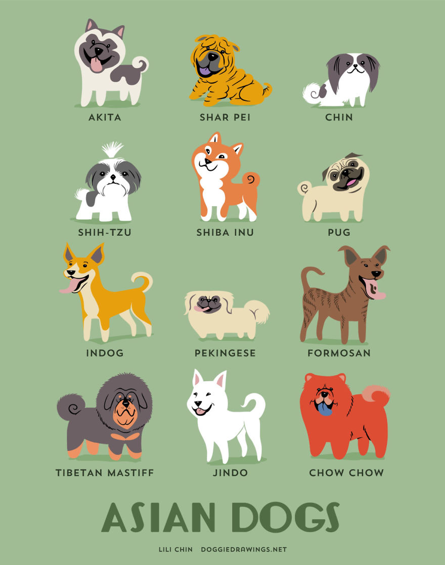 I. Introduction to Interesting Dog Breeds