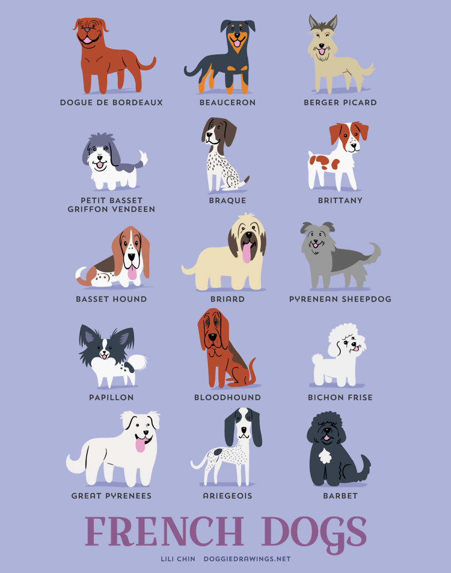 Dogs Of The World: Cute Posters Show The Origins Of 200+ Dog Breeds