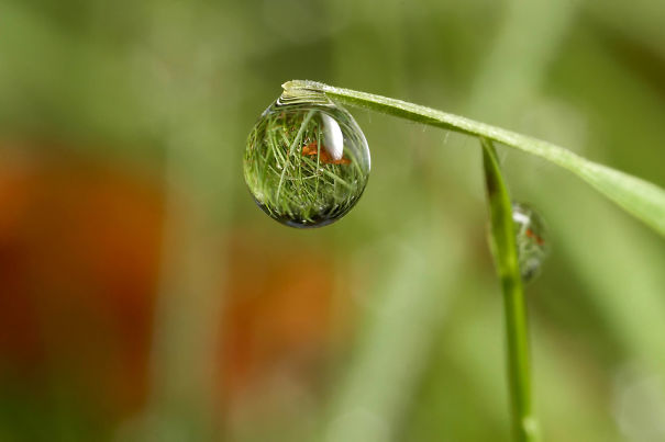 Droplet Photography ♥