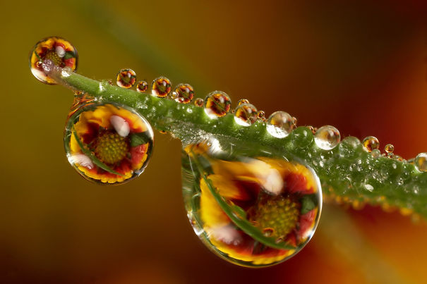 Droplet Photography ♥