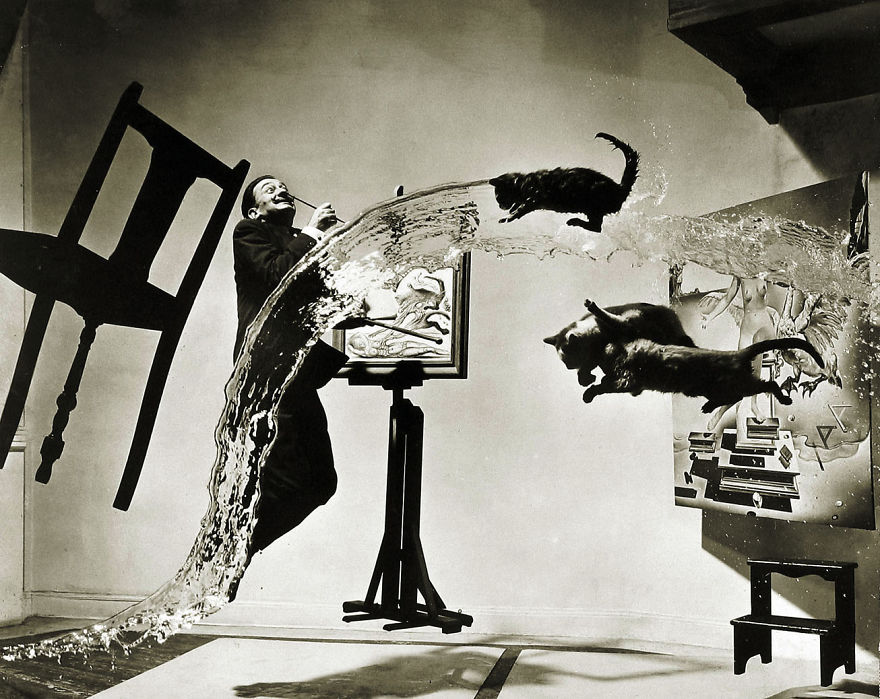Salvador Dali And Ninja Cats