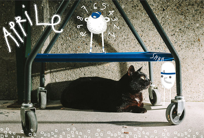 It's A Cat's World: I Made A Calendar For Those Who Like Little Furry Things (Except For Fur Coats)
