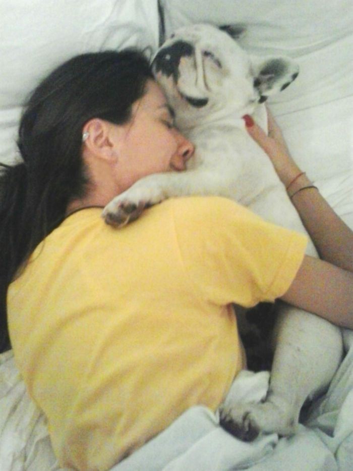 This Is How My Mom Found Us Sleeping This Morning (withkaty The Frenchbulldog)