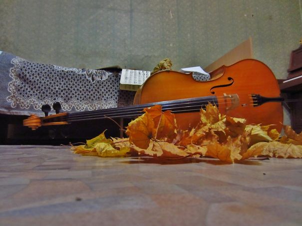 Lonely Cello Symphony Lonely Cello Symphony