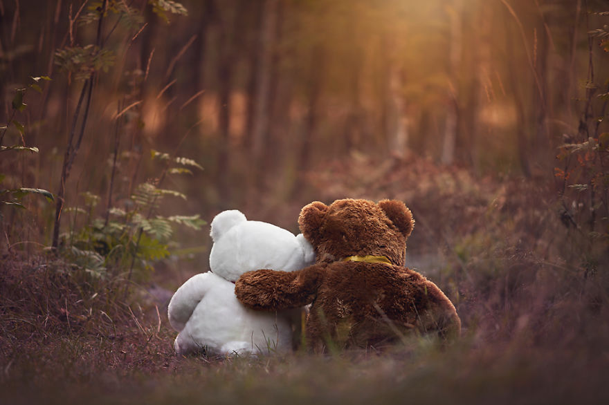 My Teddy Bears Photography Serie My Teddy Bears Photography Serie