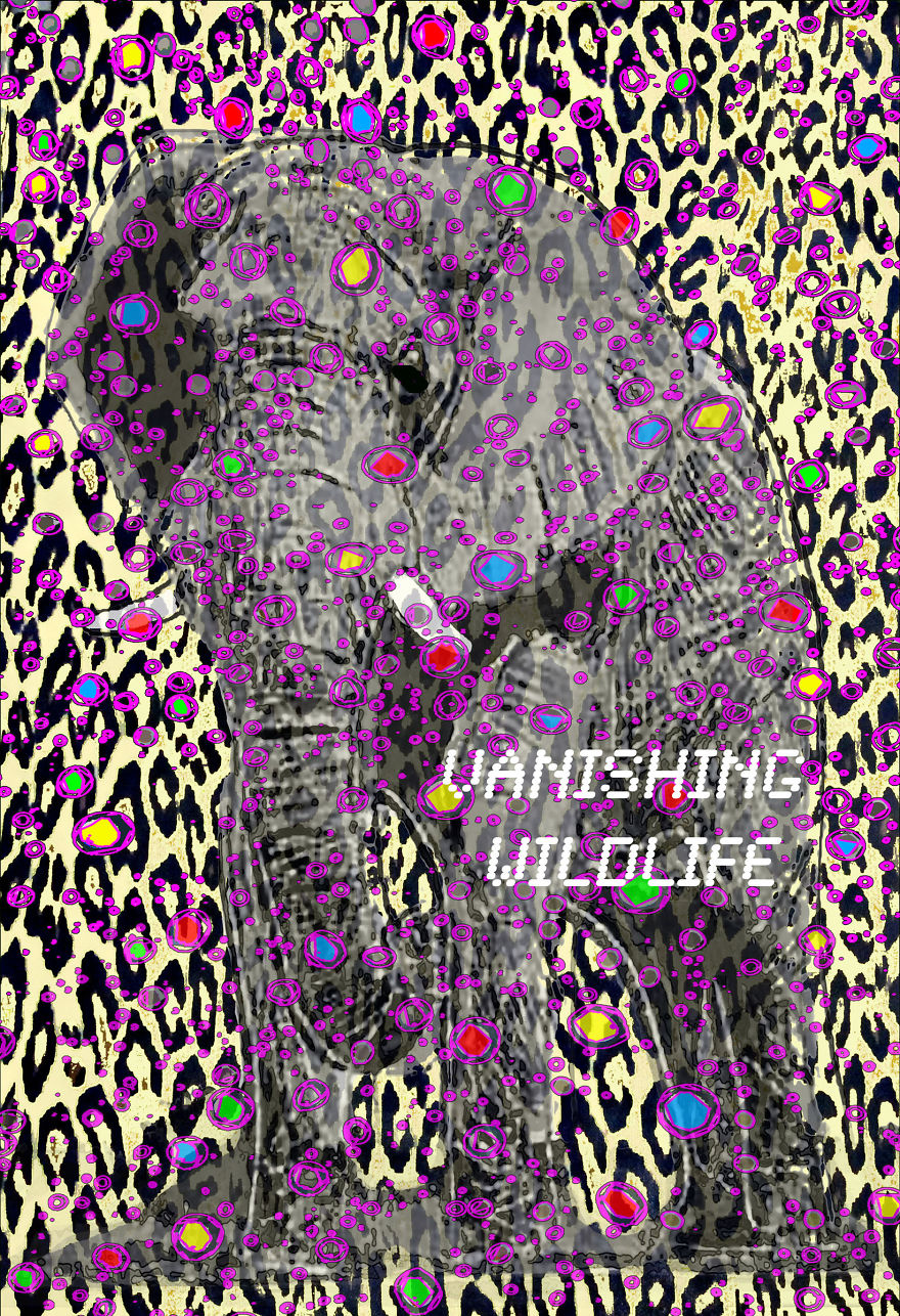 Vanishing Wildlife
