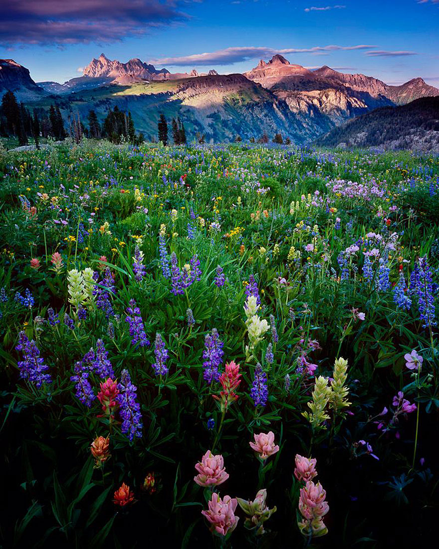 18 Of The Best Wilderness Photos From The Smithsonian's "Wilderness Forever" Photo Contest