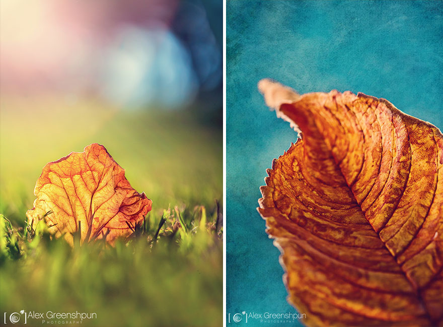 autumn-photography-alex-greenshpun-25