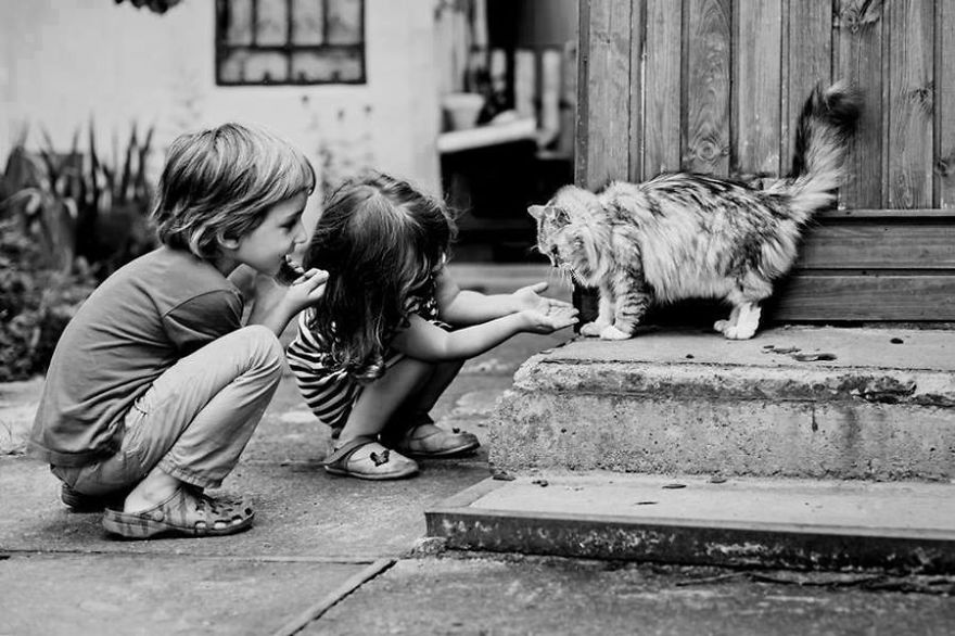 Children And Their Cat