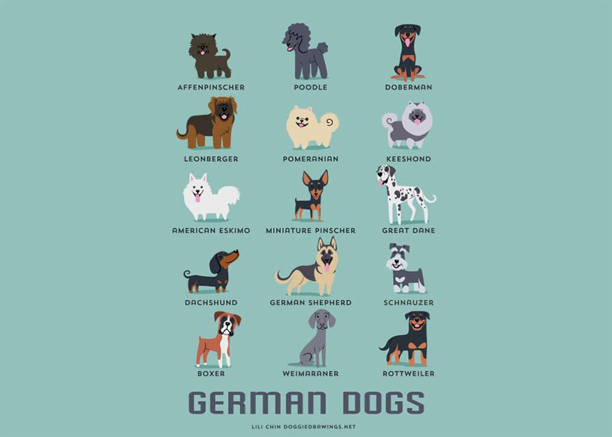 Dogs Of The World: Cute Posters Show The Origins Of 200+ Dog Breeds