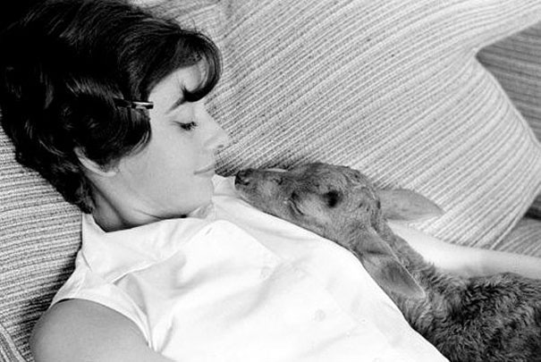 Rare Photos Of Audrey Hepburn That Capture Her Iconic Charm