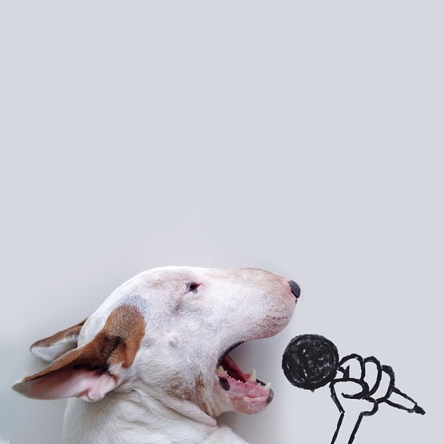 Dog Owner Creates Fun Illustrations With His Bull Terrier