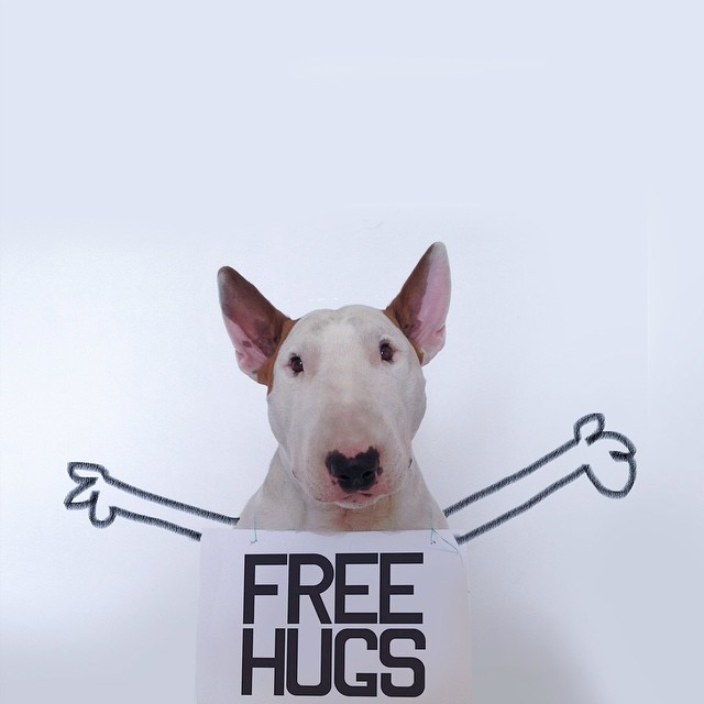 Dog Owner Creates Fun Illustrations With His Bull Terrier
