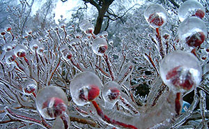 30 Beautiful Ice And Snow Formations That Look Like Art