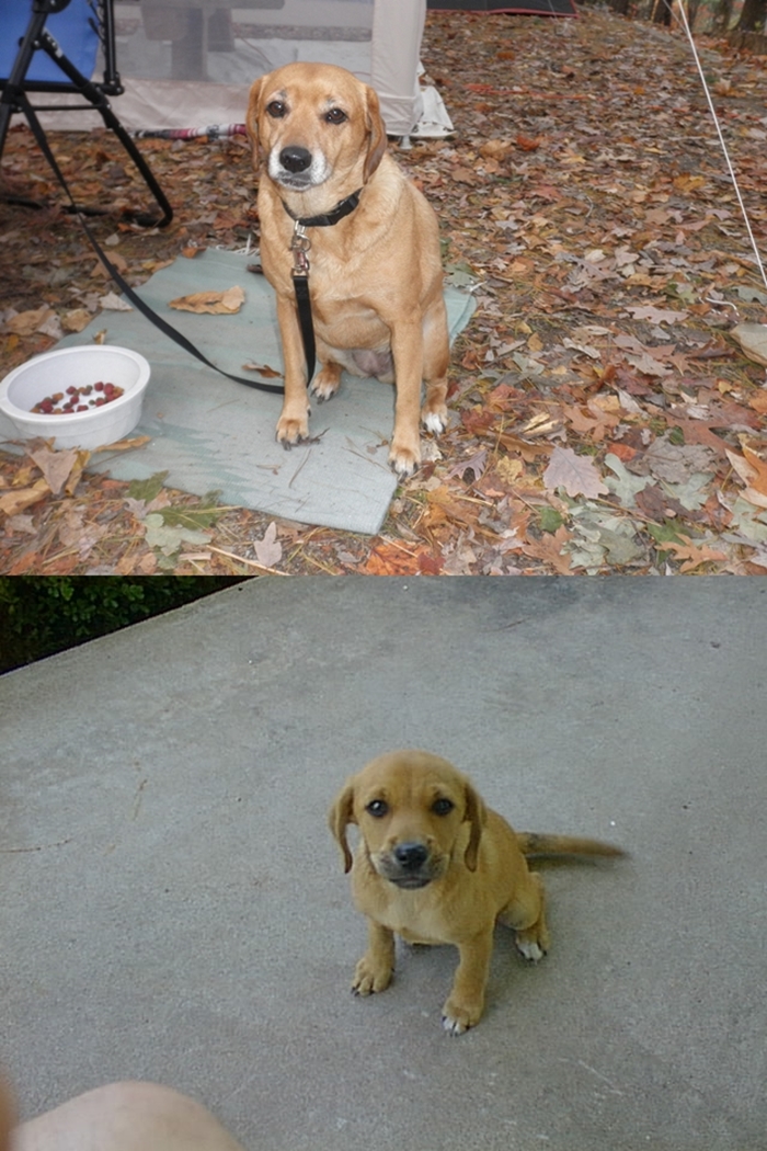 Penny Lou 10 Years Apart
