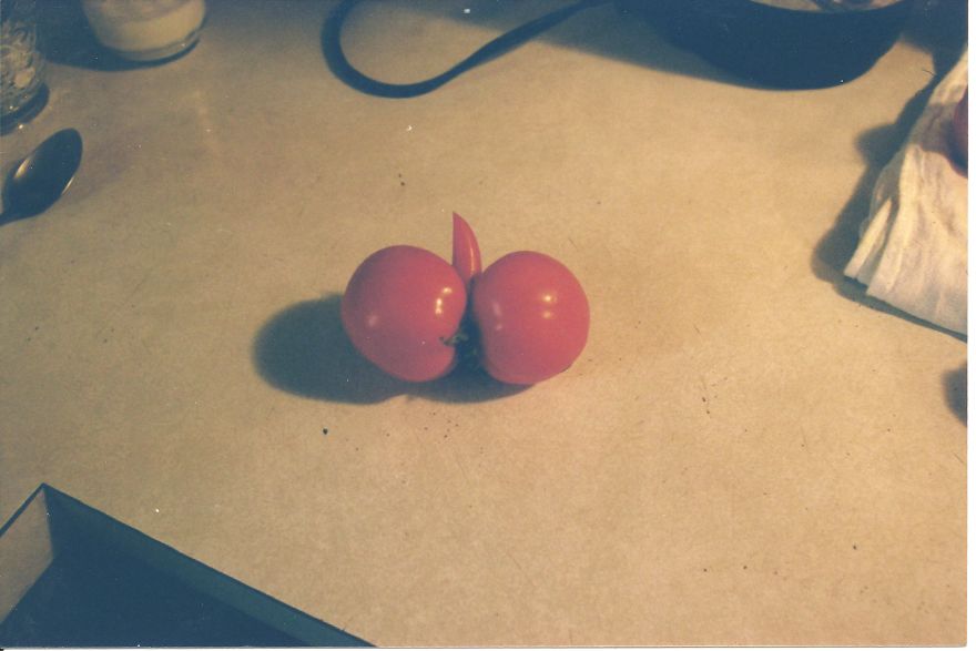 Tomato (balls W/penis)