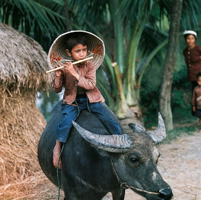 Vietnam- In 1900s