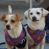 rose.raderjayah avatar