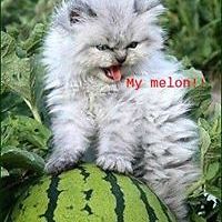 kathy.powell.900 avatar