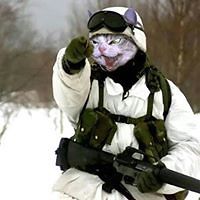 naama.danielle avatar