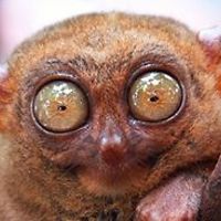 steven.salwetzke avatar