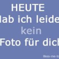 aandre.staudemeyer avatar