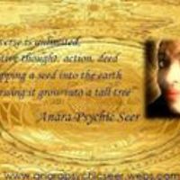 anara.ashwood avatar