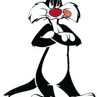 wojciechmuraski avatar