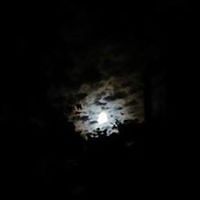 bobbie.howell.77 avatar