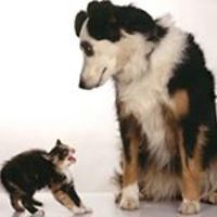 gina.pacheco.16 avatar