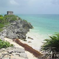 gianna-aleman avatar