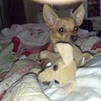 scarlett.soenyun avatar