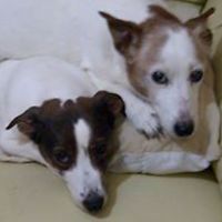 prepareathomeuk avatar