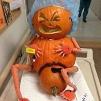 thebeebebunch avatar