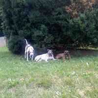 tracey.griffith.96 avatar