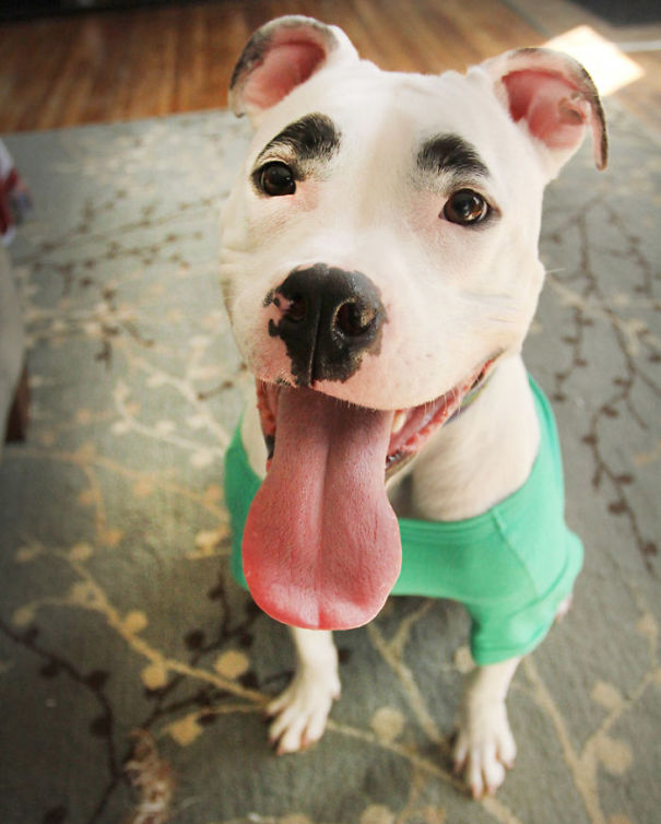 Simon Has Eyebrows!