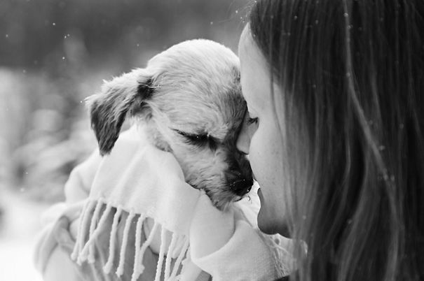Heartbreaking Yet Beautiful Photos Of Pets With Their Owners