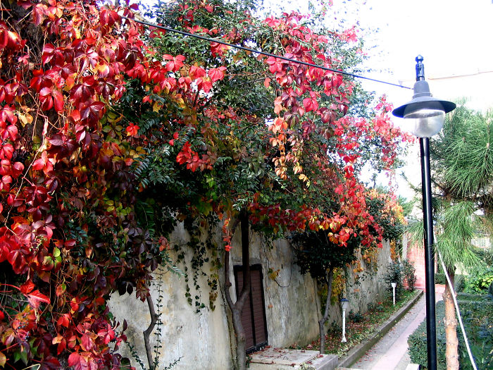 Autumn In Istanbul Somewhere