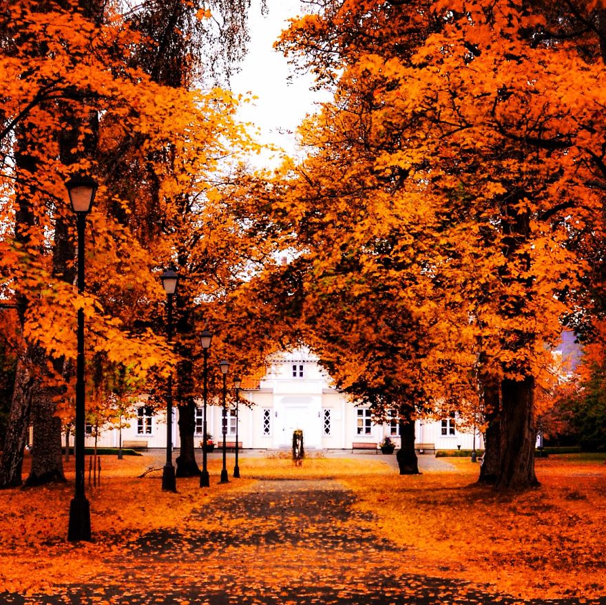 Autumn's Colors In Jönköping/sweden